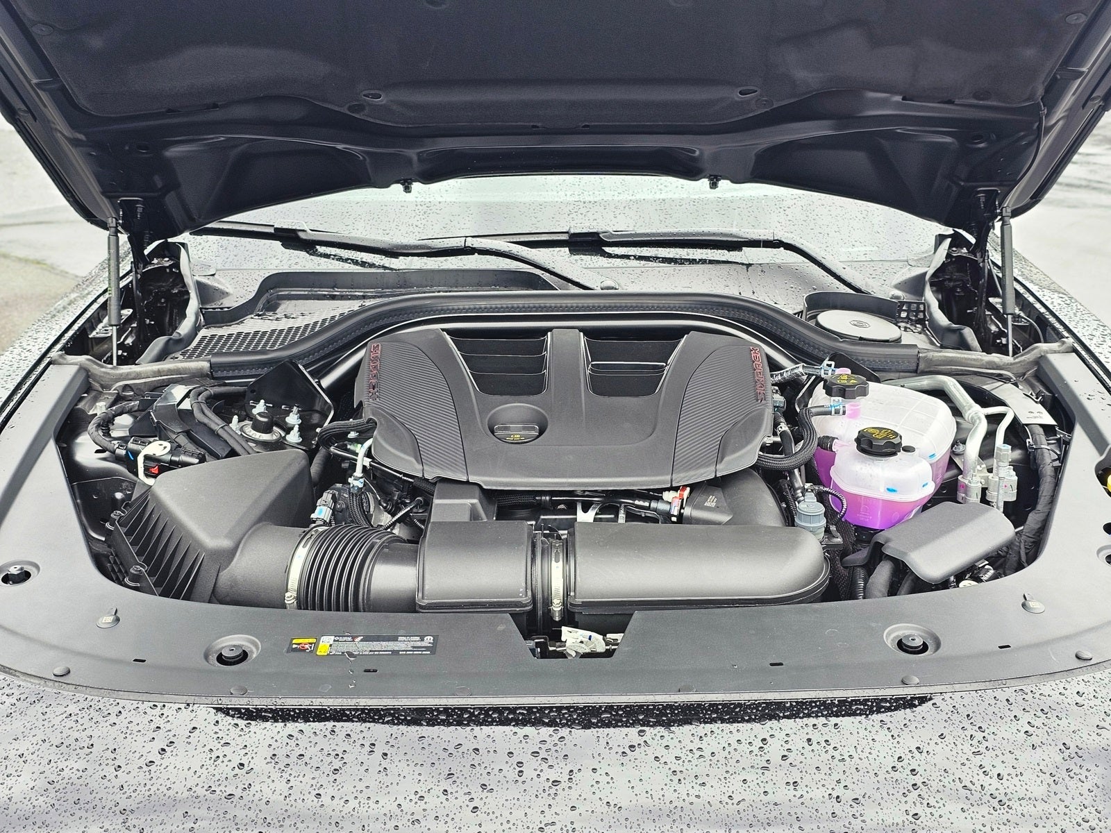 2026 Dodge Charger R/T Scat Pack